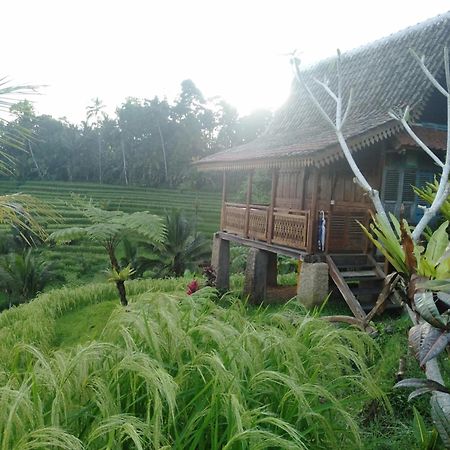 D'Ume Bendoel Homestay Jatiluwih Luaran gambar
