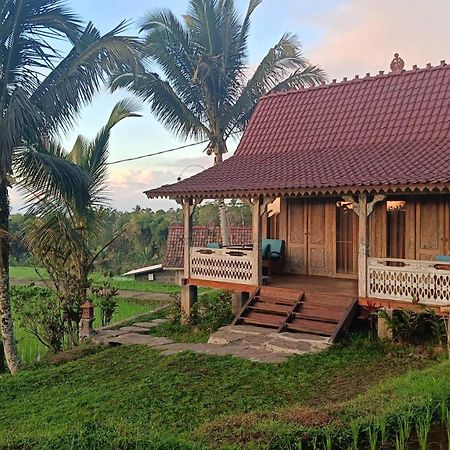 D'Ume Bendoel Homestay Jatiluwih Luaran gambar