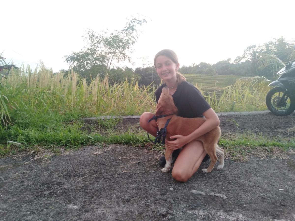 D'Ume Bendoel Homestay Jatiluwih Luaran gambar