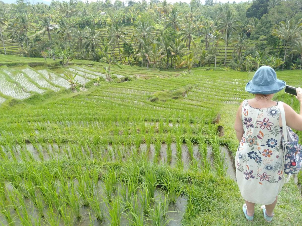 D'Ume Bendoel Homestay Jatiluwih Luaran gambar