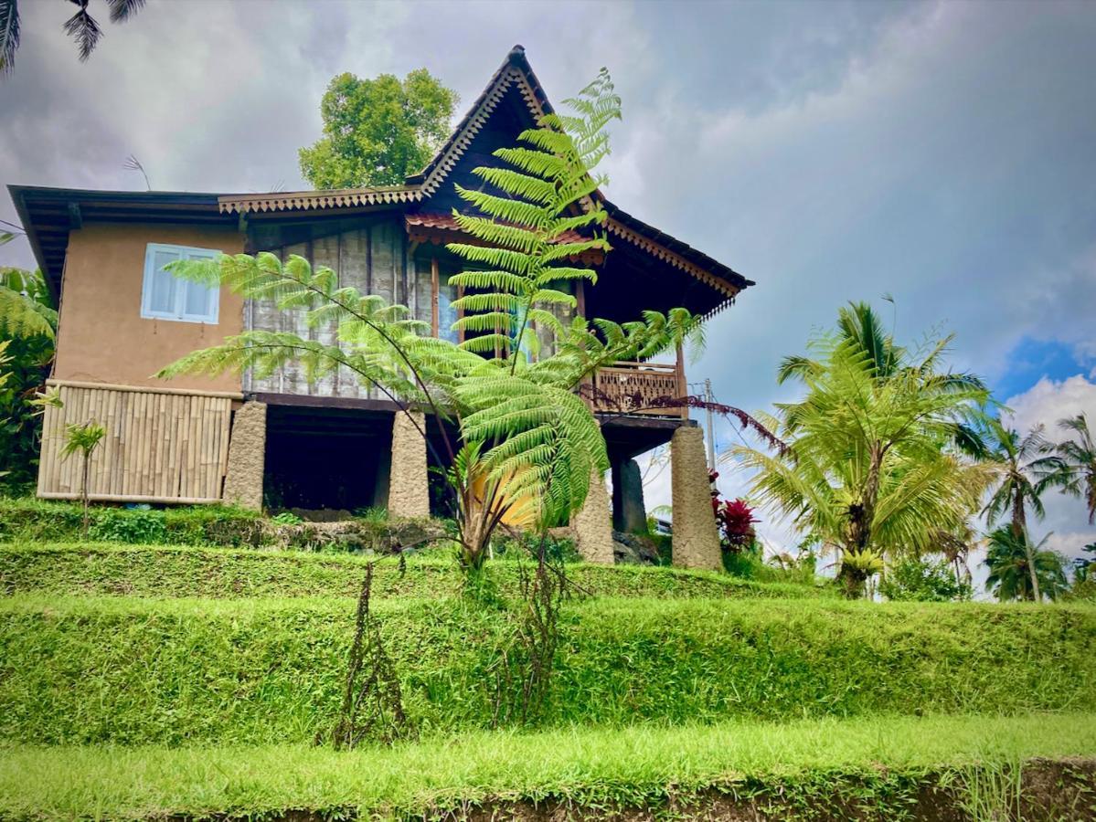 D'Ume Bendoel Homestay Jatiluwih Luaran gambar