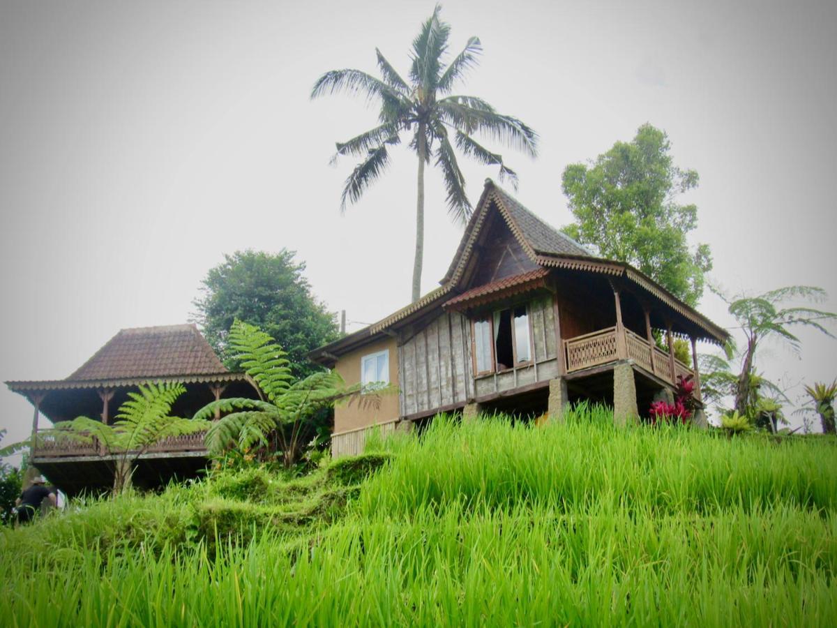 D'Ume Bendoel Homestay Jatiluwih Luaran gambar