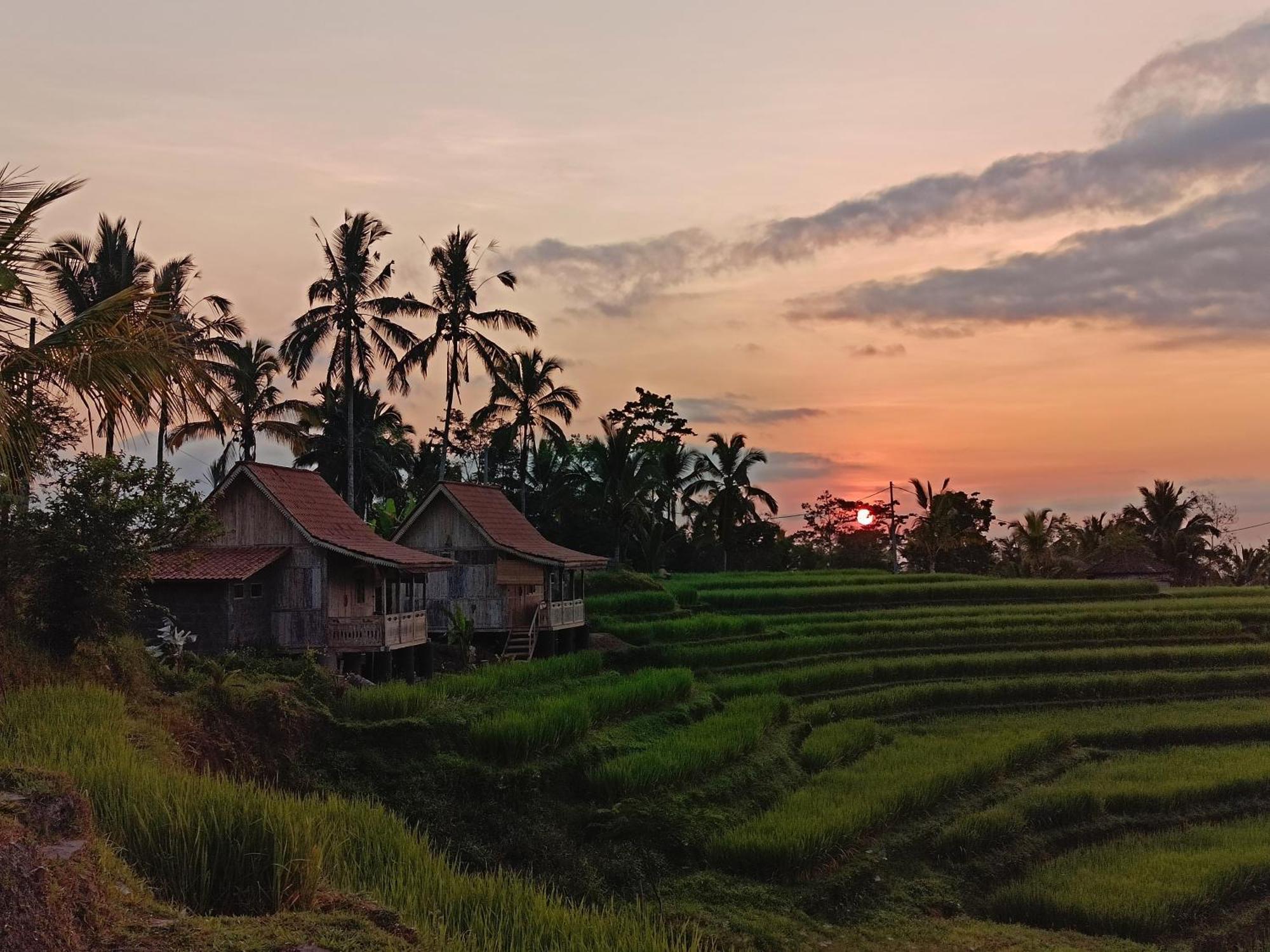 D'Ume Bendoel Homestay Jatiluwih Luaran gambar