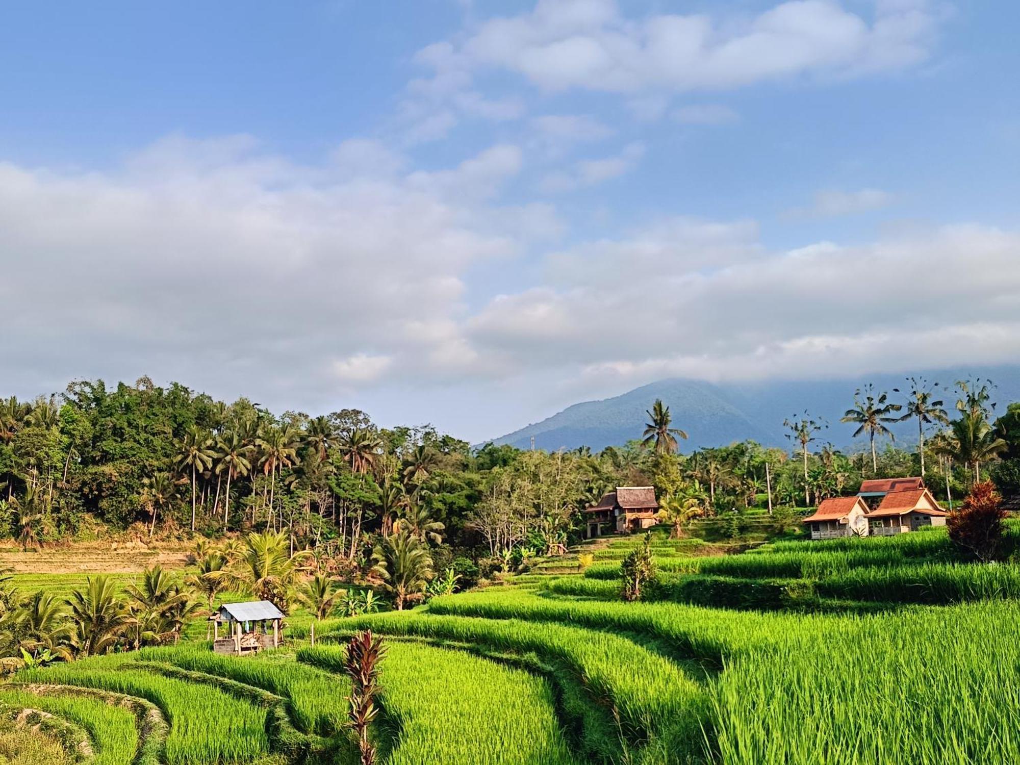 D'Ume Bendoel Homestay Jatiluwih Luaran gambar