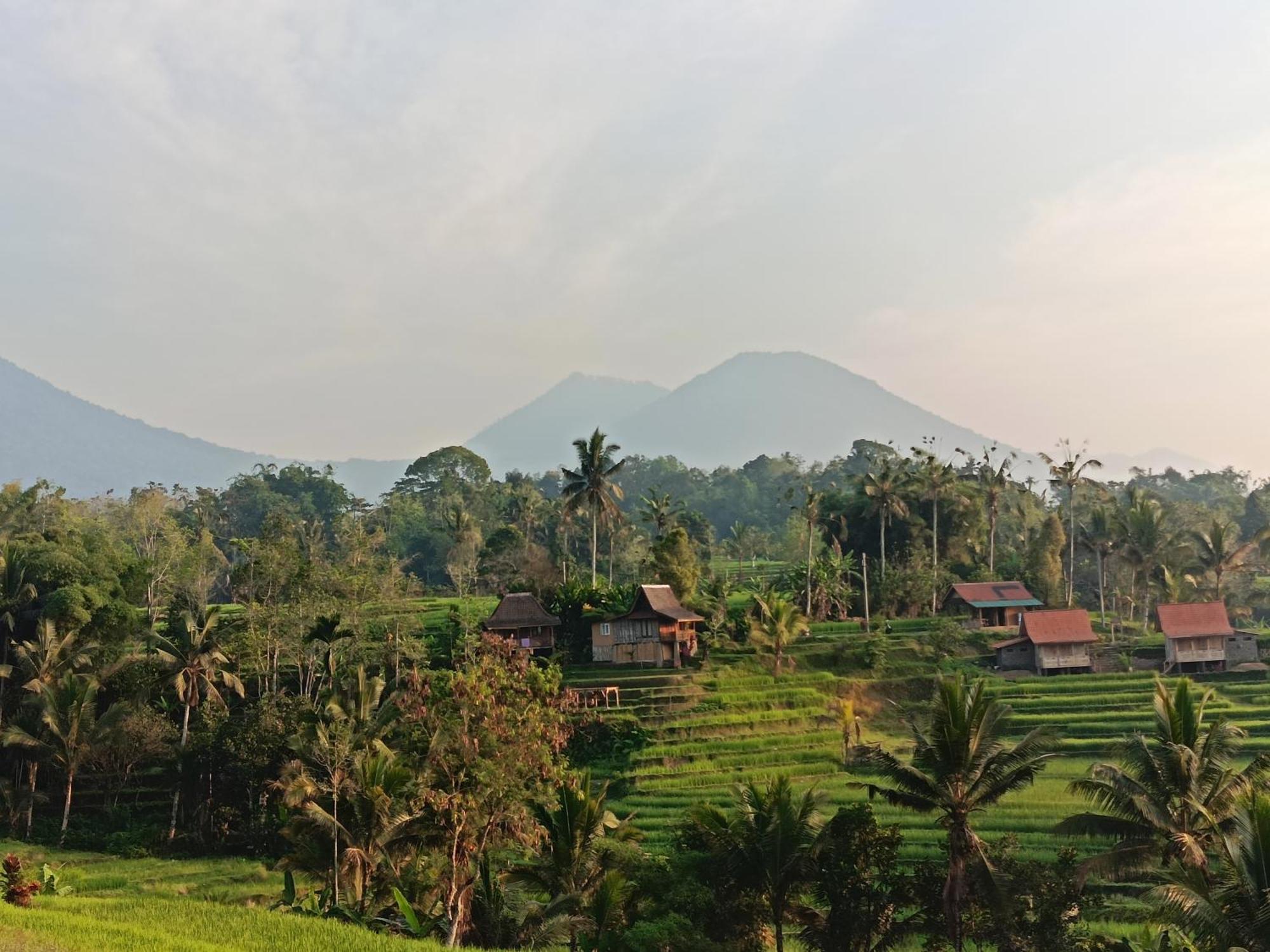 D'Ume Bendoel Homestay Jatiluwih Luaran gambar