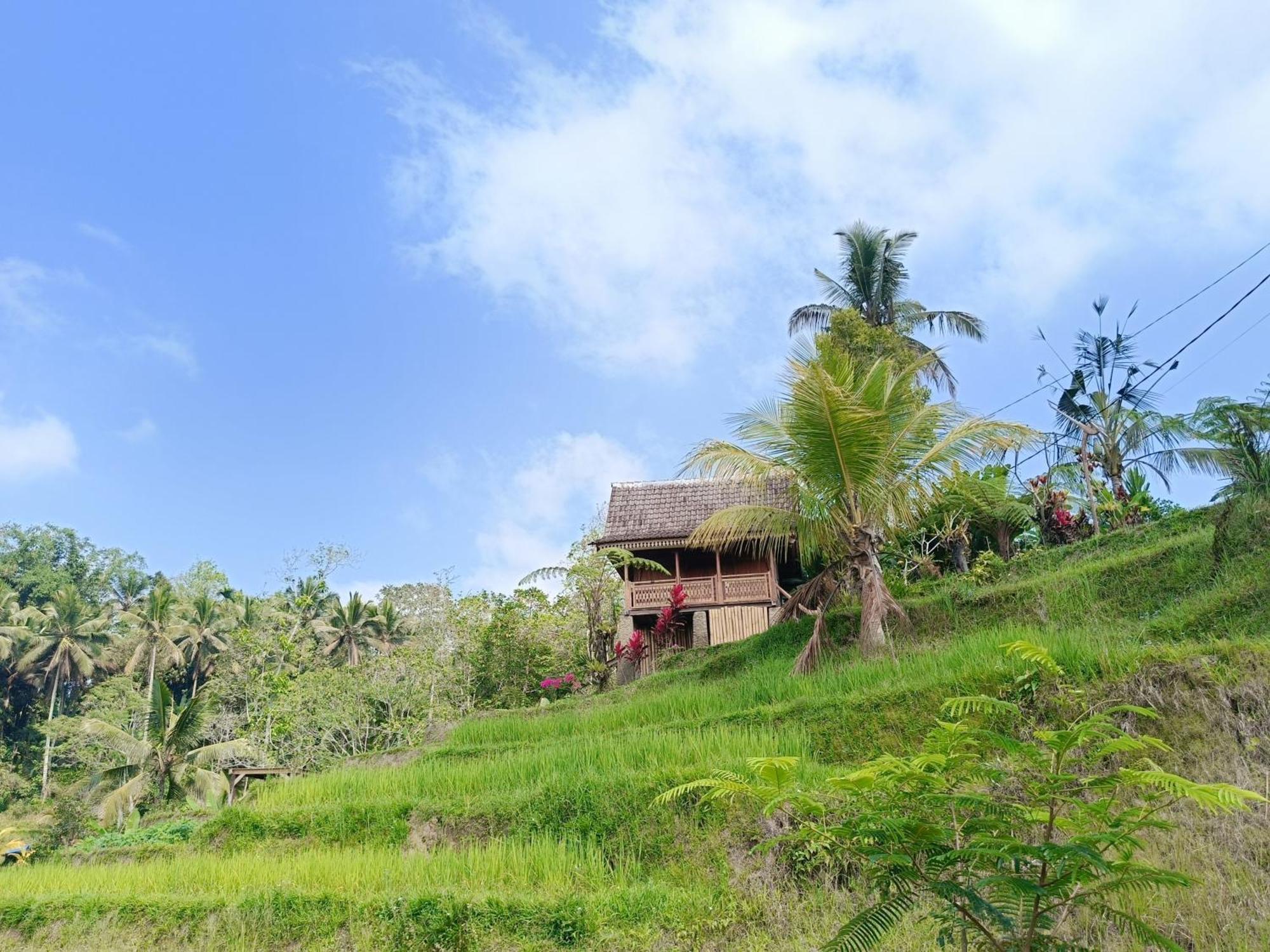 D'Ume Bendoel Homestay Jatiluwih Luaran gambar