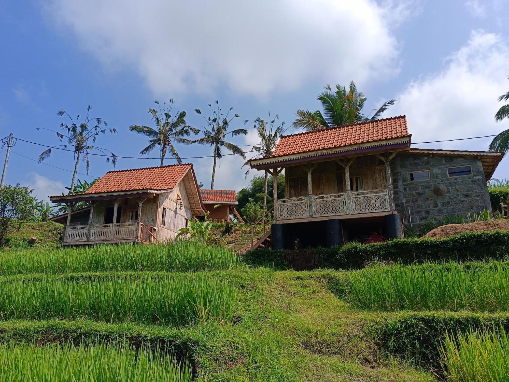 D'Ume Bendoel Homestay Jatiluwih Luaran gambar