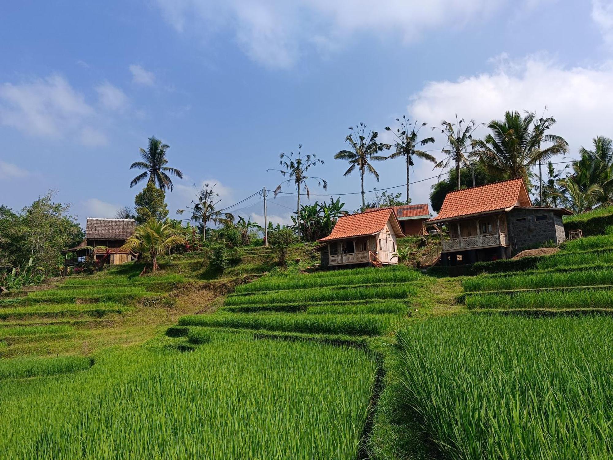 D'Ume Bendoel Homestay Jatiluwih Luaran gambar