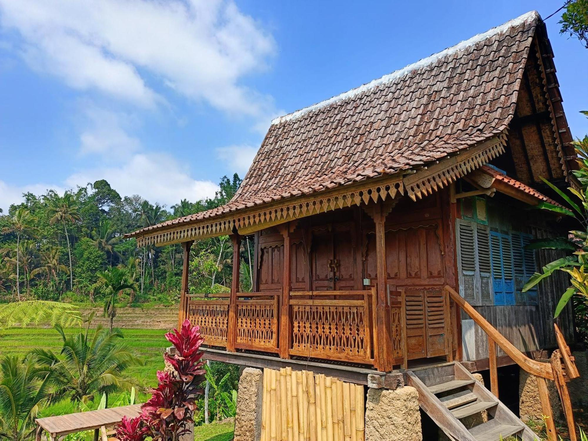 D'Ume Bendoel Homestay Jatiluwih Luaran gambar