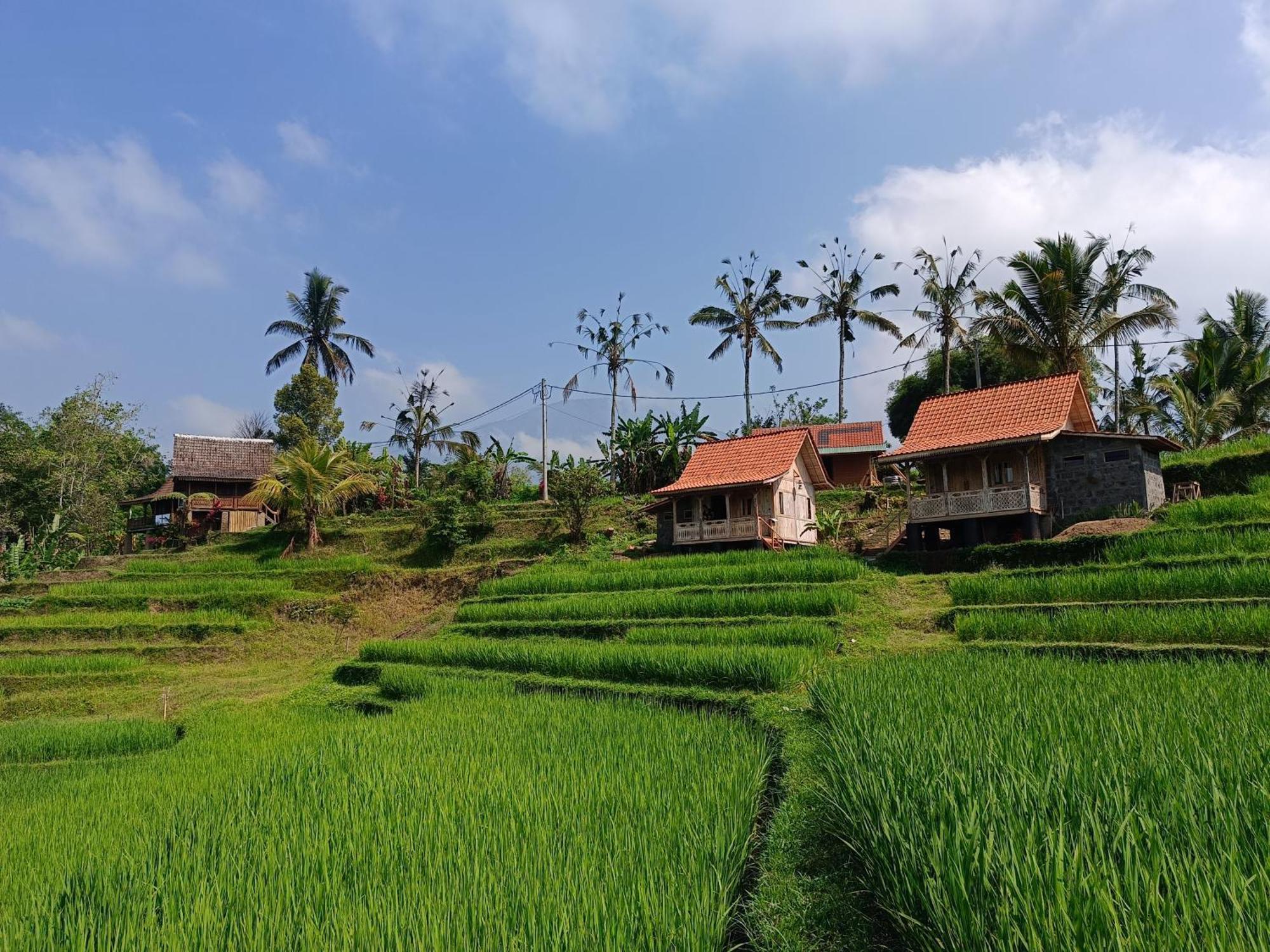 D'Ume Bendoel Homestay Jatiluwih Luaran gambar