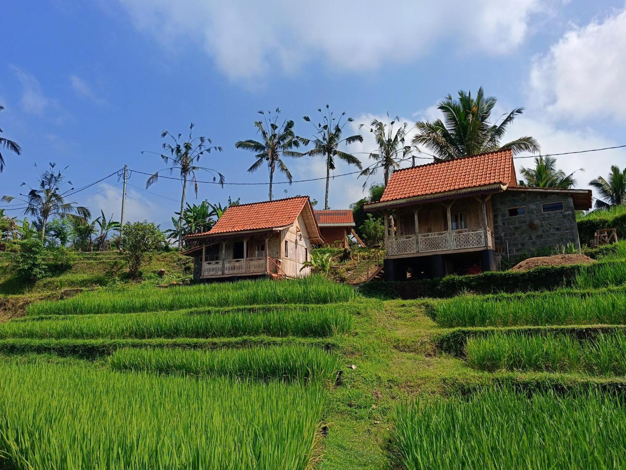 D'Ume Bendoel Homestay Jatiluwih Luaran gambar
