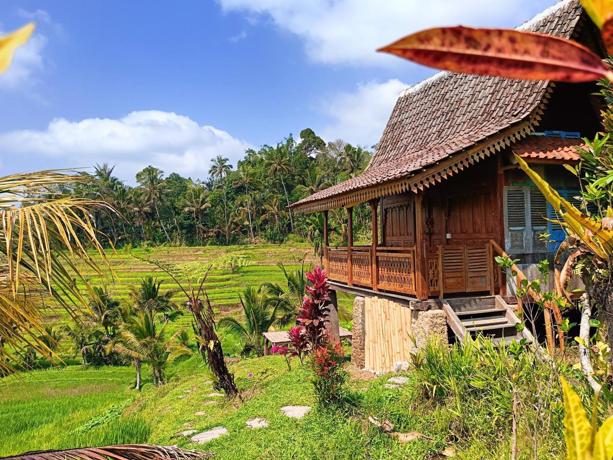 D'Ume Bendoel Homestay Jatiluwih Luaran gambar