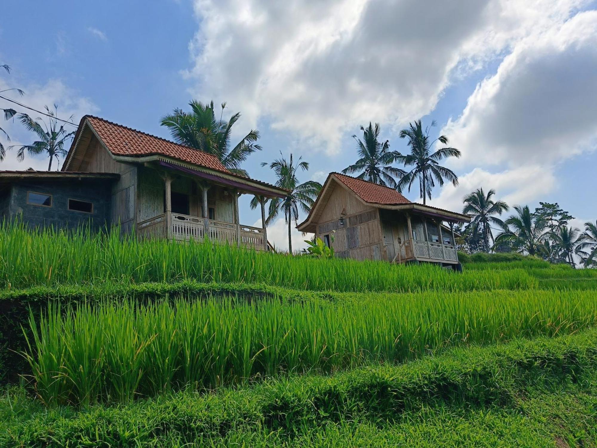D'Ume Bendoel Homestay Jatiluwih Luaran gambar