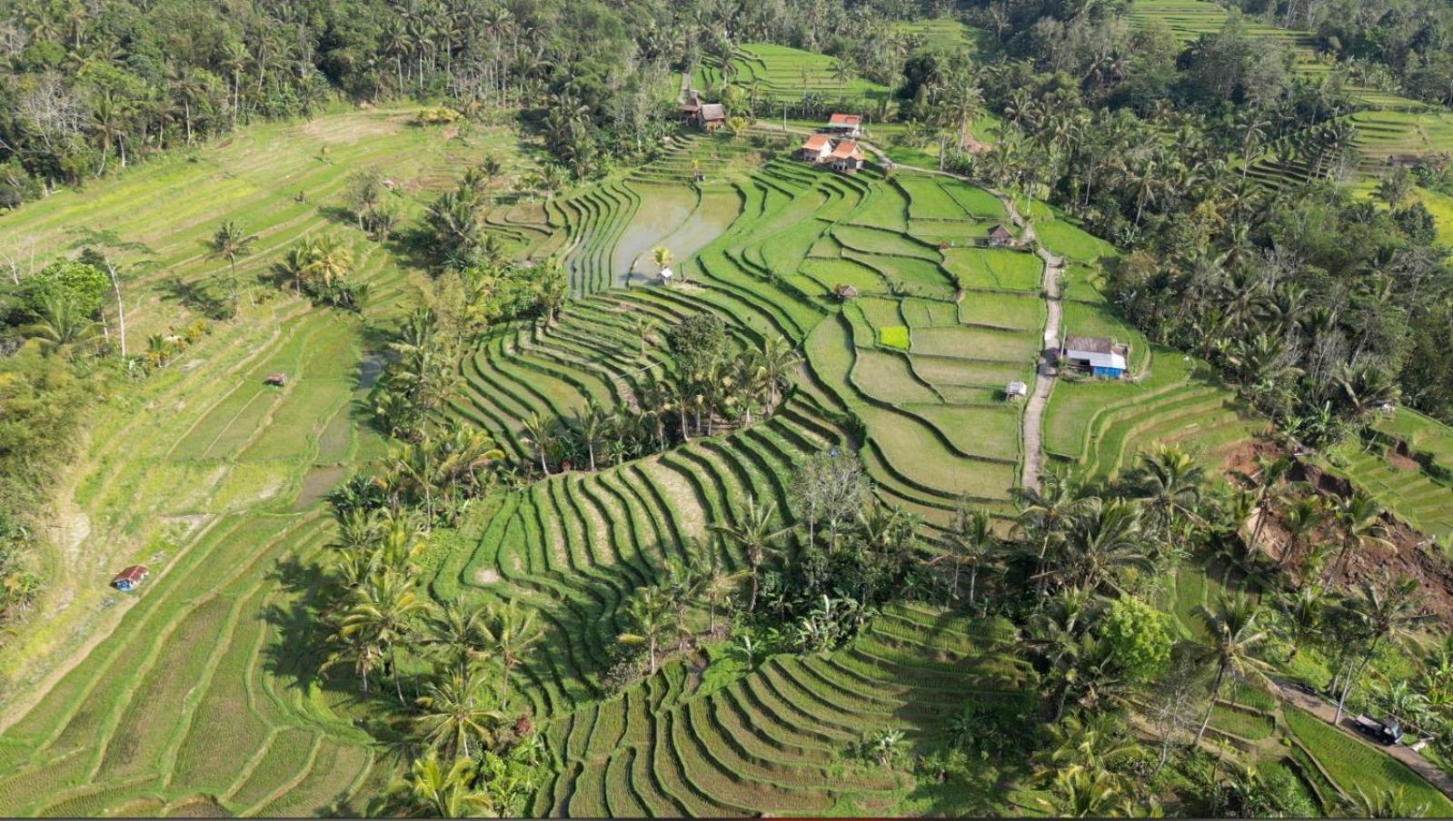 D'Ume Bendoel Homestay Jatiluwih Luaran gambar