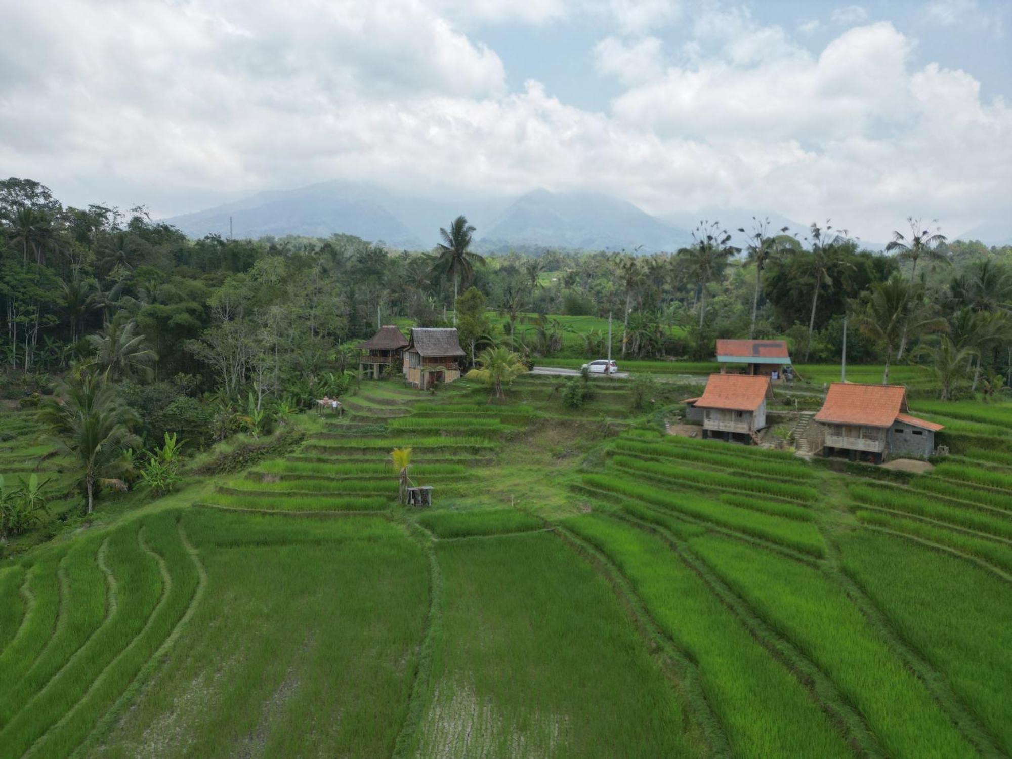 D'Ume Bendoel Homestay Jatiluwih Bilik gambar