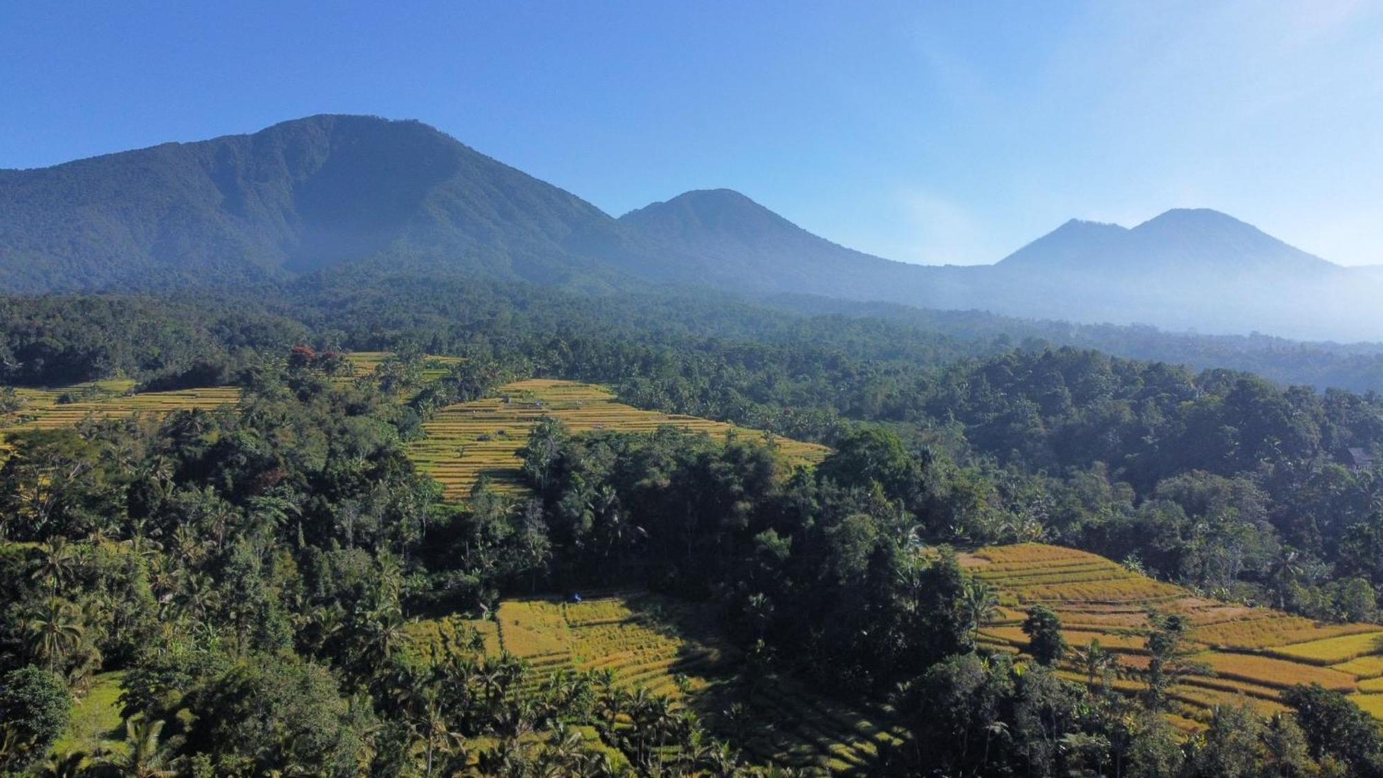 D'Ume Bendoel Homestay Jatiluwih Bilik gambar
