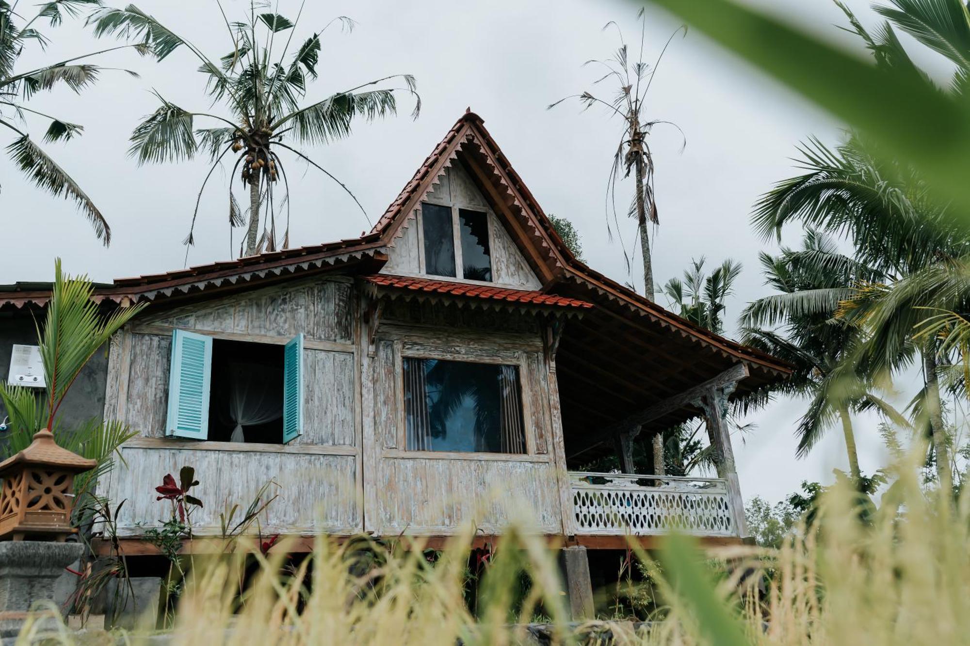 D'Ume Bendoel Homestay Jatiluwih Bilik gambar