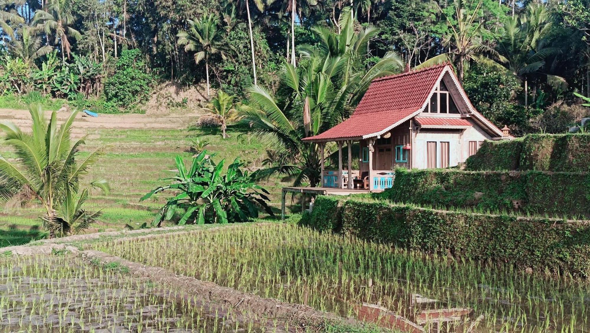 D'Ume Bendoel Homestay Jatiluwih Bilik gambar