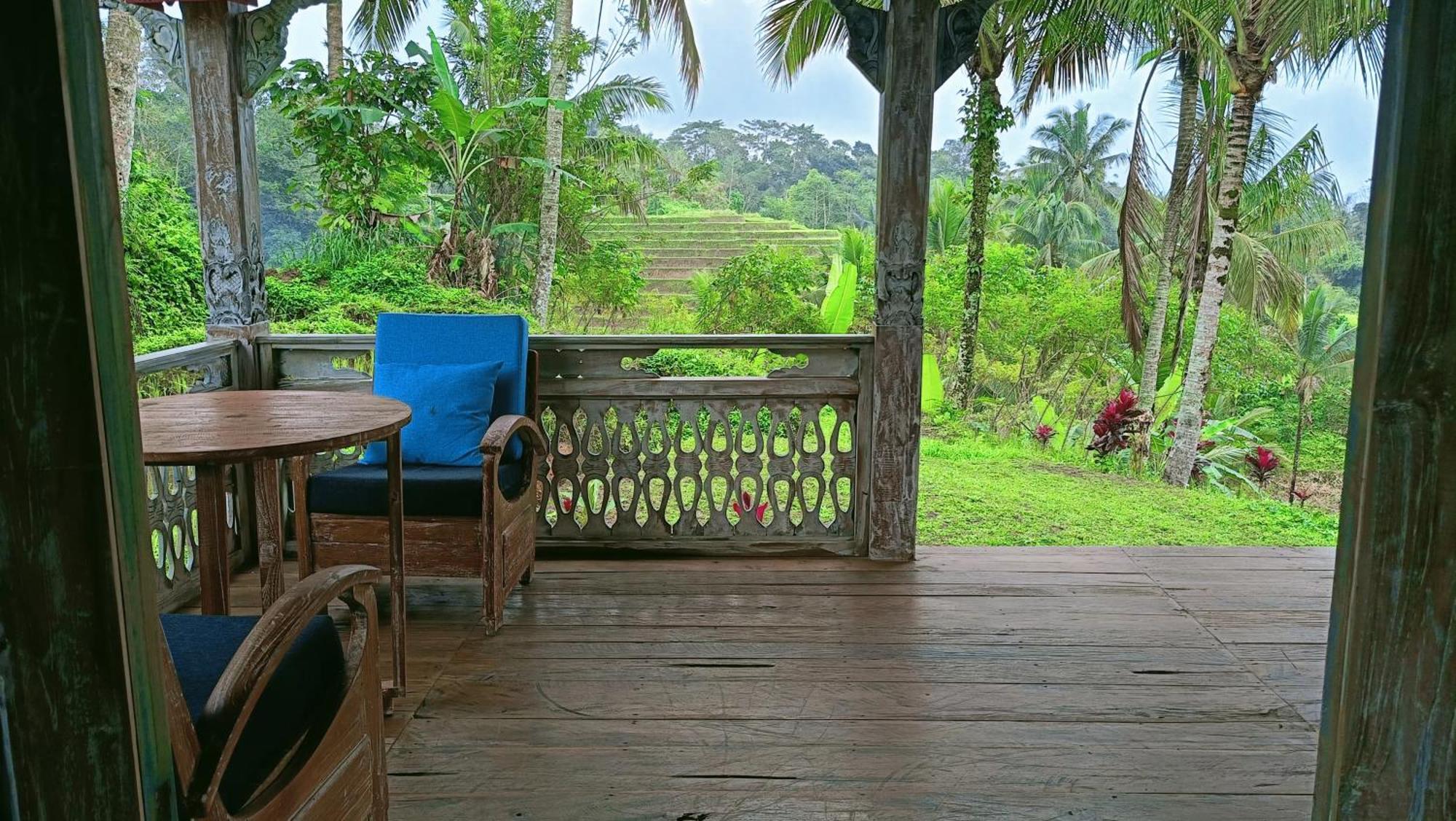 D'Ume Bendoel Homestay Jatiluwih Luaran gambar