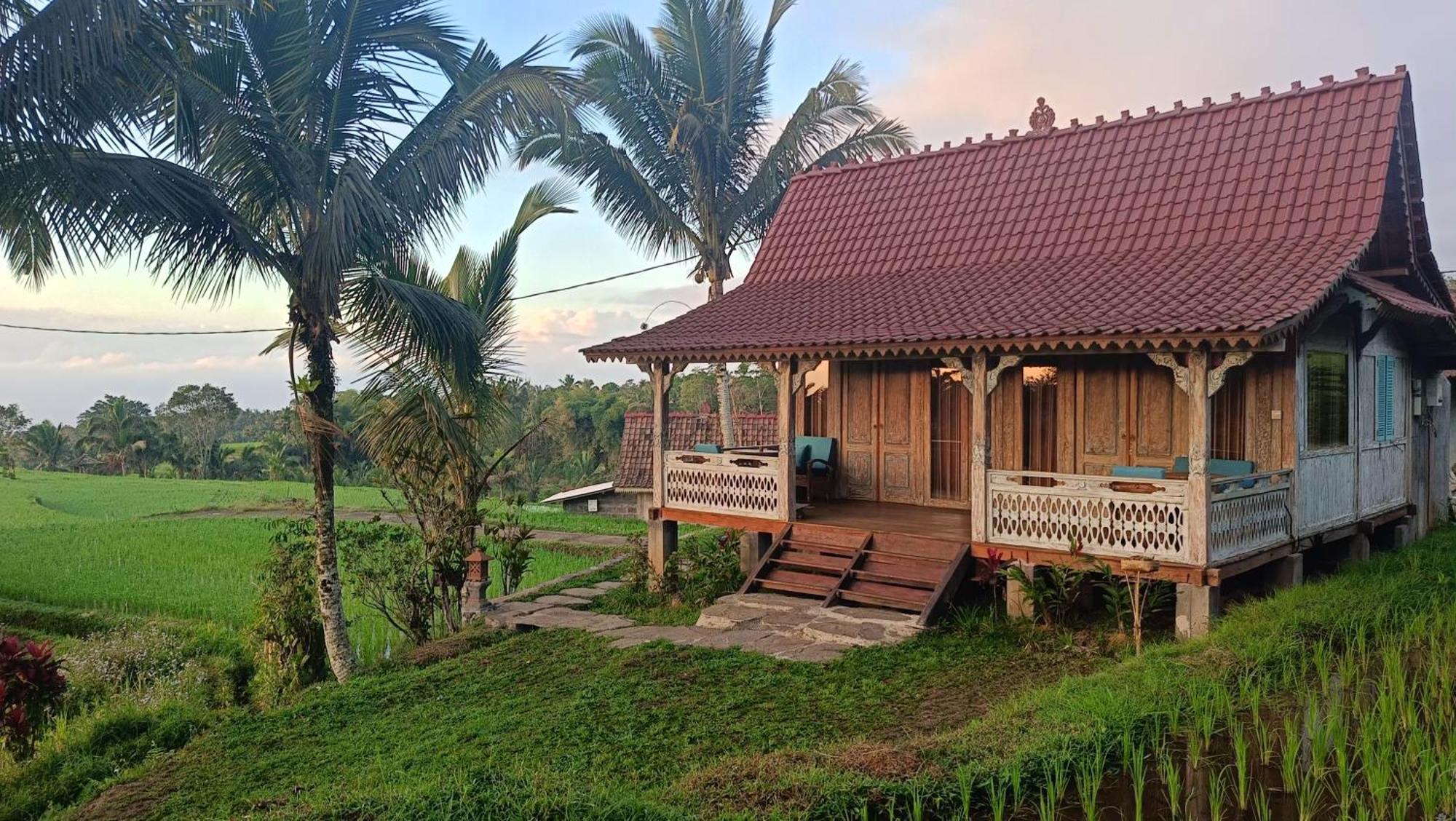 D'Ume Bendoel Homestay Jatiluwih Luaran gambar