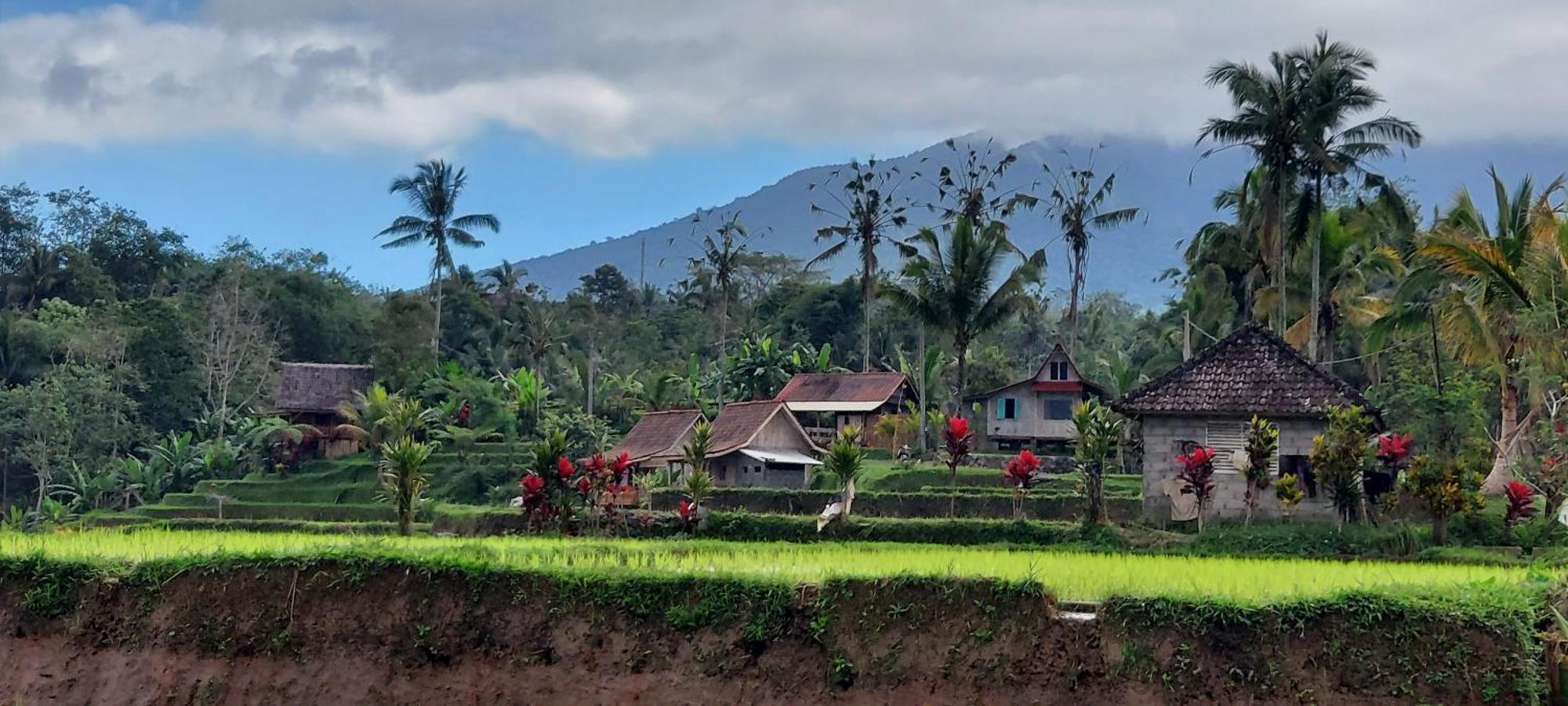 D'Ume Bendoel Homestay Jatiluwih Luaran gambar