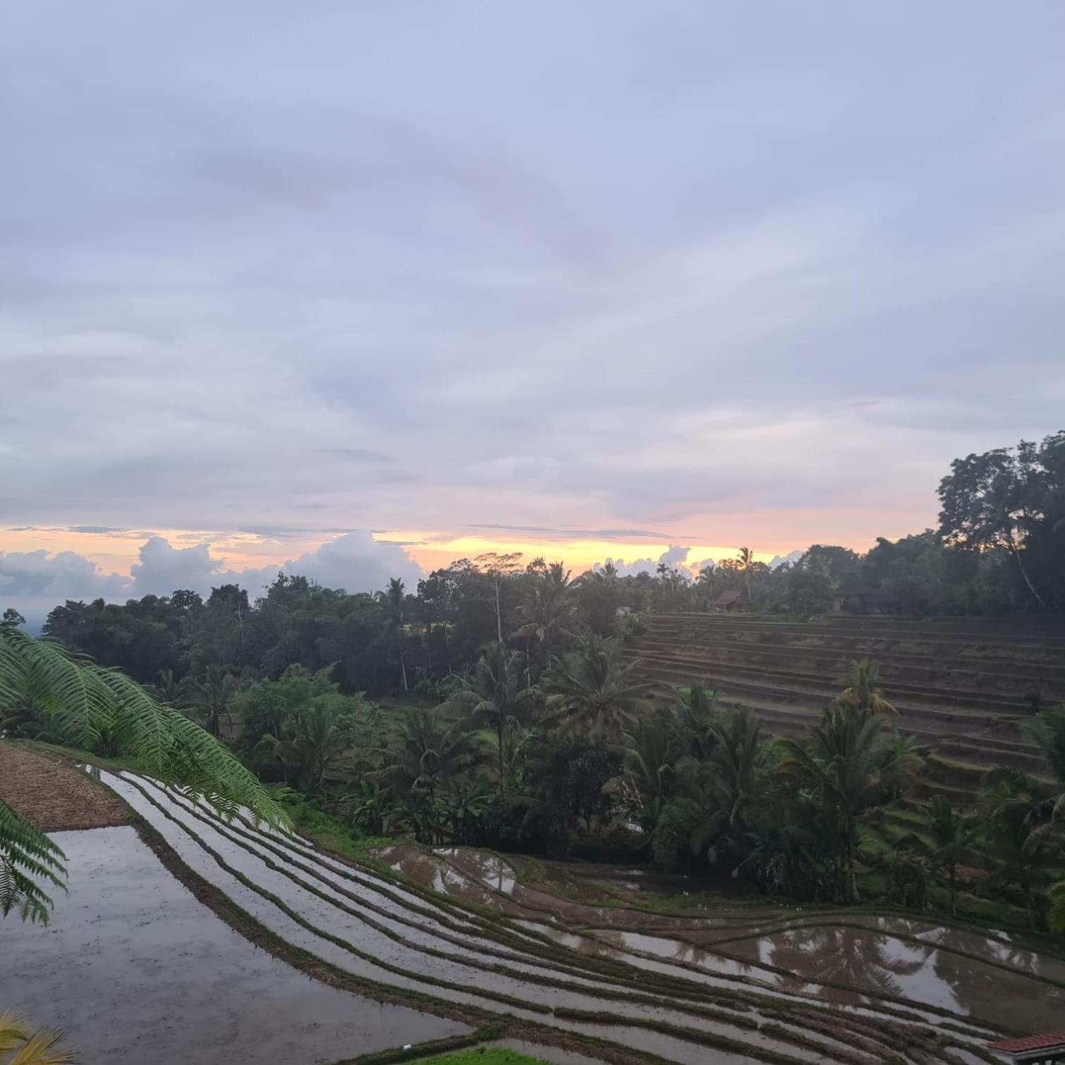 D'Ume Bendoel Homestay Jatiluwih Luaran gambar
