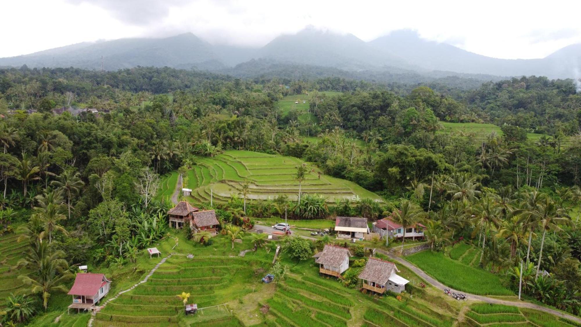 D'Ume Bendoel Homestay Jatiluwih Bilik gambar