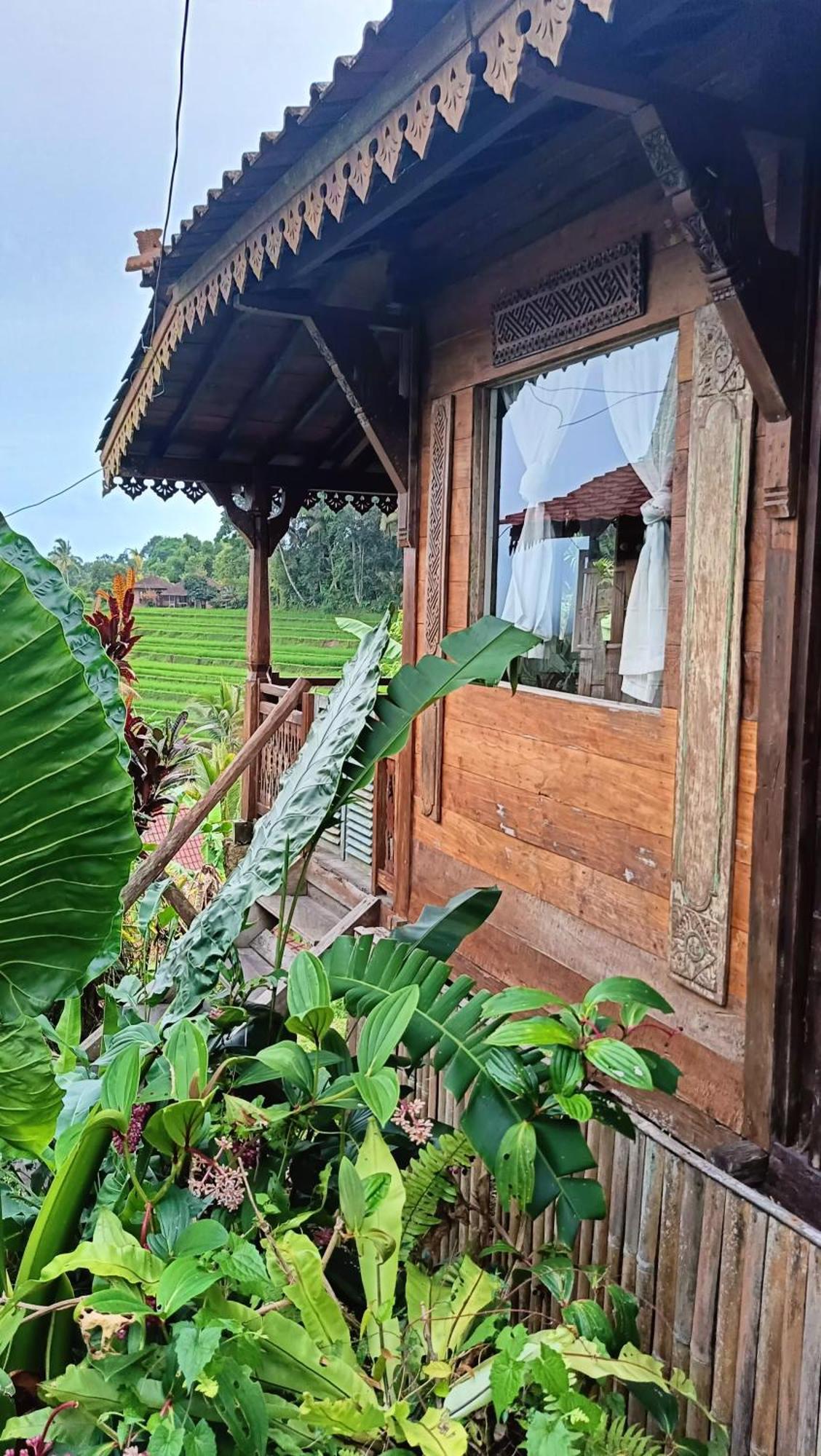 D'Ume Bendoel Homestay Jatiluwih Luaran gambar